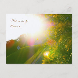 Morning Came Postcard