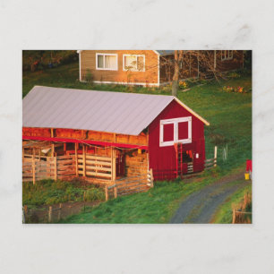 Morning chores on the farm. USA, Vermont, Postcard