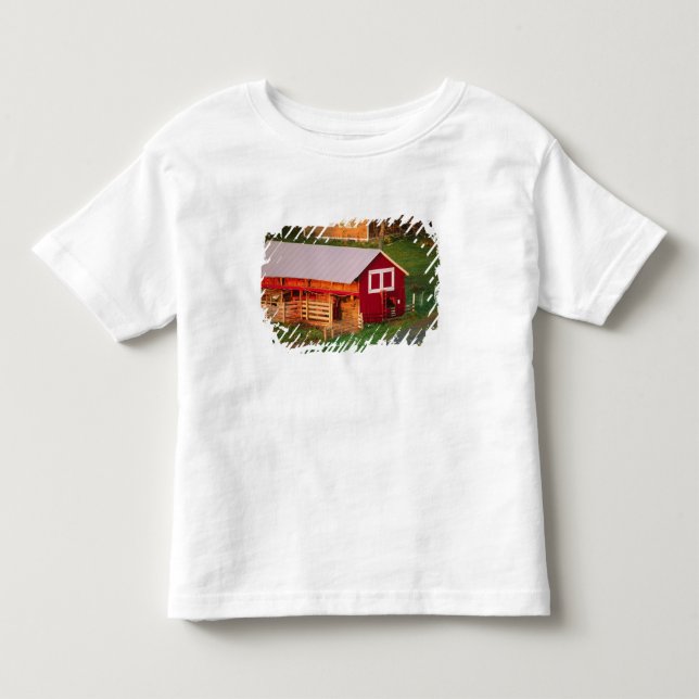 Morning chores on the farm. USA, Vermont, Toddler T-shirt (Front)