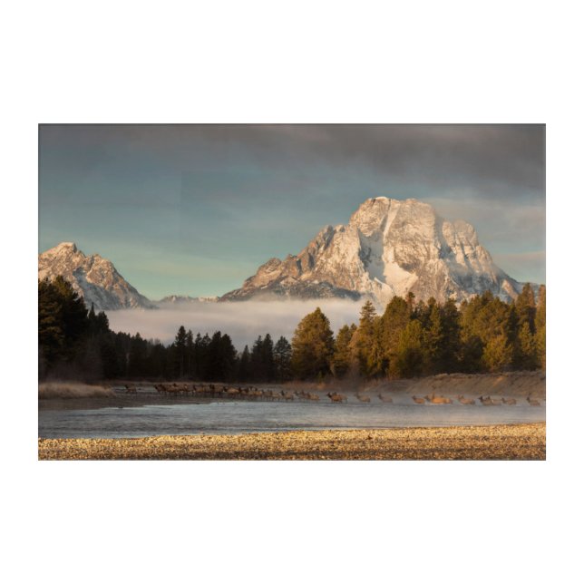 Morning Commute Acrylic Print (Front)