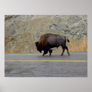 Morning Commute Poster