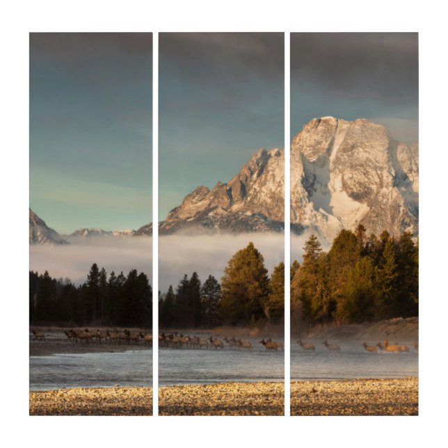Morning Commute Triptych (Front)