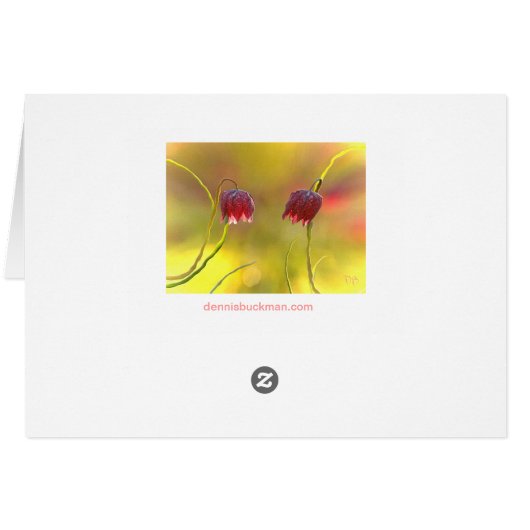 Morning Delight (Back Horizontal)