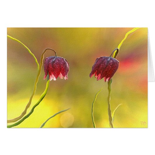 Morning Delight Cards (Front Horizontal)