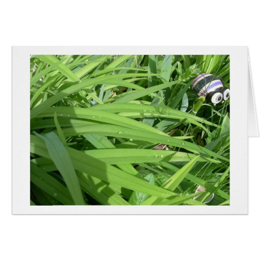 Morning dew (Front Horizontal)