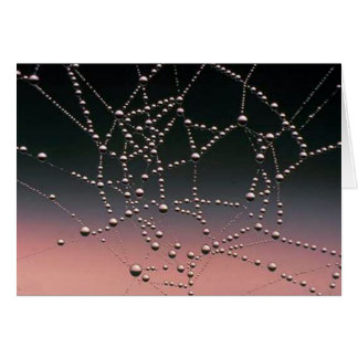 Morning Dew Cards