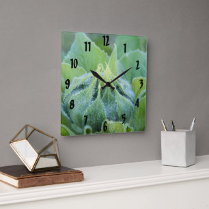 Morning Dew Covered Sunflower Bud Close-Up Photo Square Wall Clock