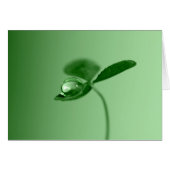 Morning dew drop (Front Horizontal)