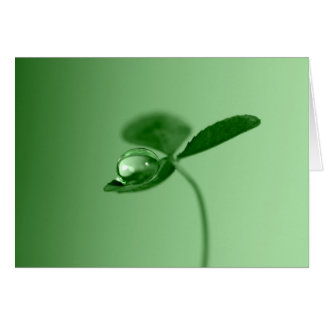 Morning dew drop cards