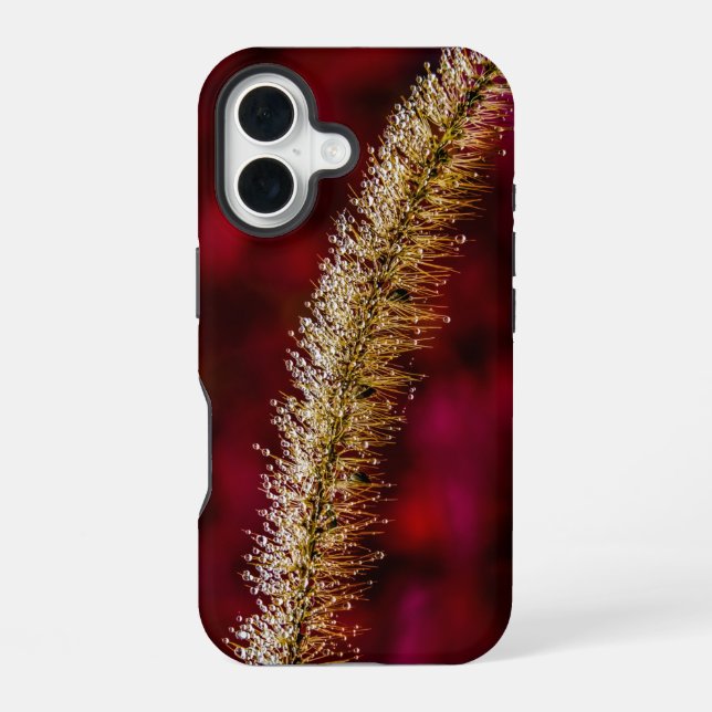 Morning Dew Iphone Case (Back)