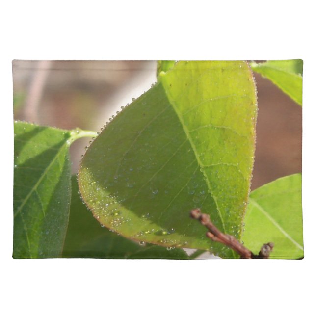 morning Dew on Chinese tallow leaf Placemat (Front)