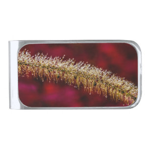 Morning Dew Silver Finish Money Clip