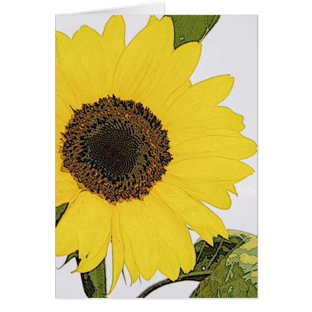 Morning Dew Sunflower Cards (Front)
