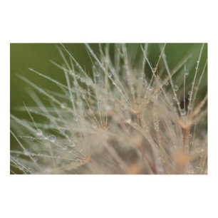 Morning Dews Wood Wall Art