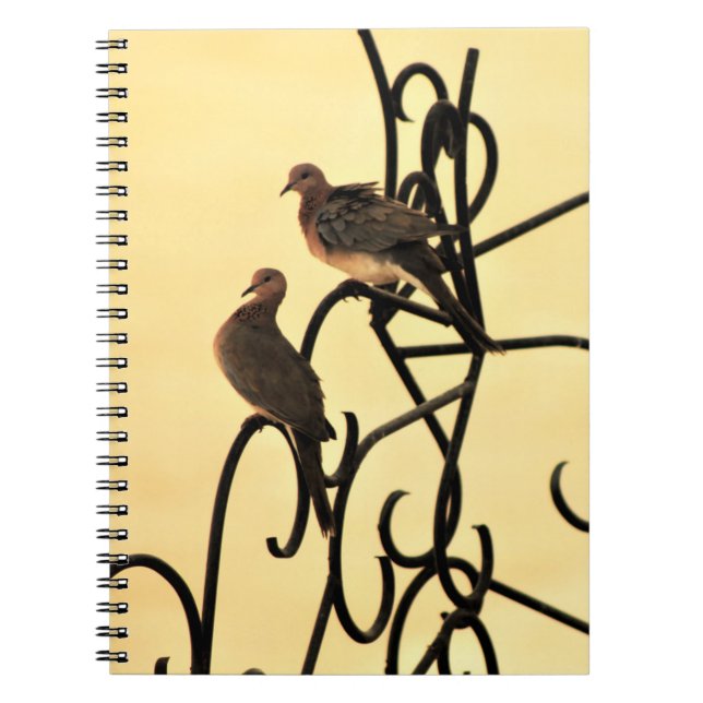 Morning Doves Notebook (Front)