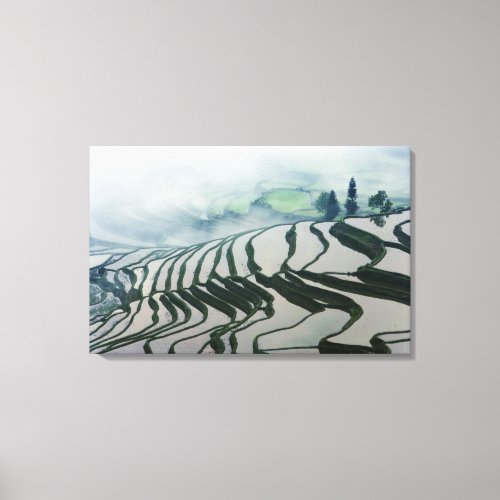 Morning Fog Above Rice Fields Canvas Print