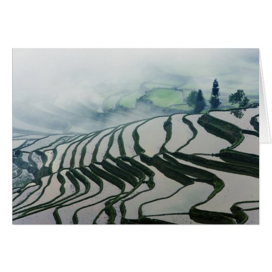 Morning Fog Above Rice Fields Cards (Front Horizontal)