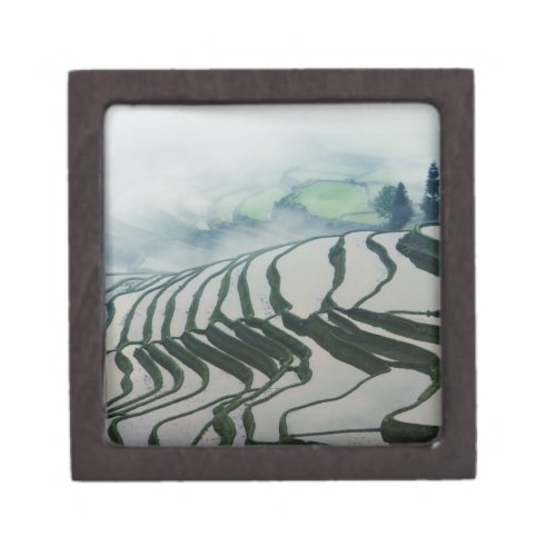 Morning Fog Above Rice Fields Jewelry Box