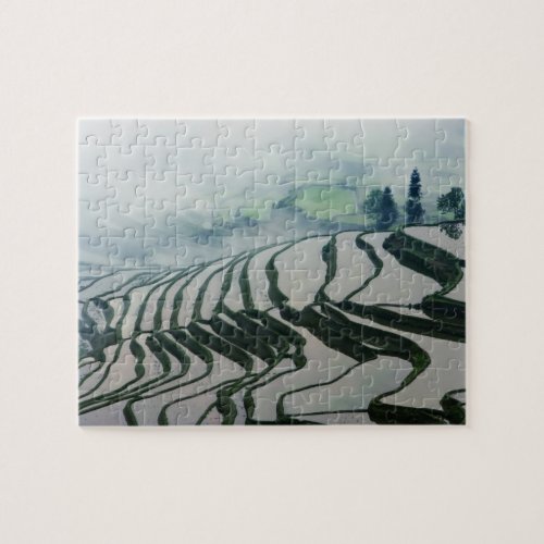 Morning Fog Above Rice Fields Jigsaw Puzzle