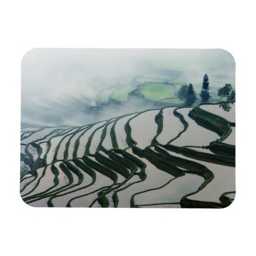 Morning Fog Above Rice Fields Magnet