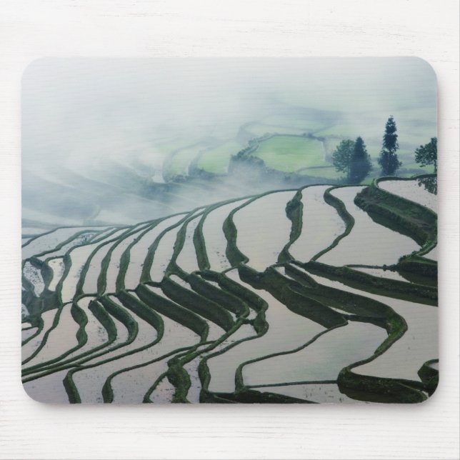 Morning Fog Above Rice Fields Mouse Pad (Front)