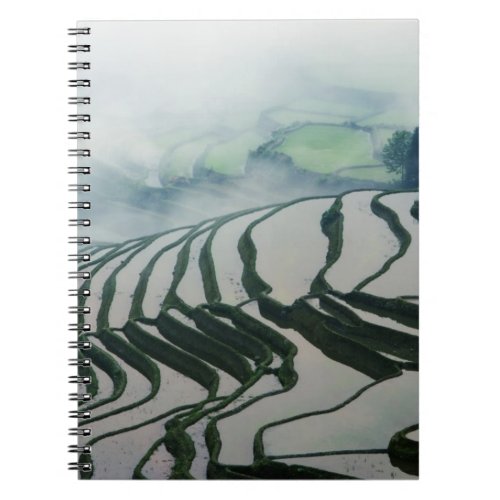 Morning Fog Above Rice Fields Notebook