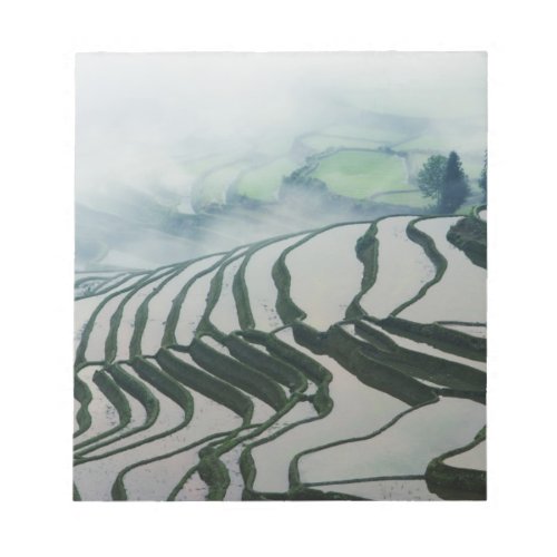 Morning Fog Above Rice Fields Notepad