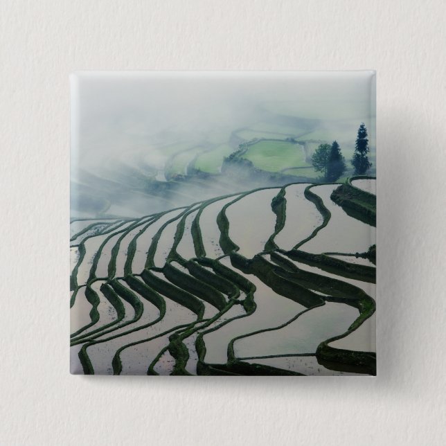 Morning Fog Above Rice Fields Pinback Button (Front)