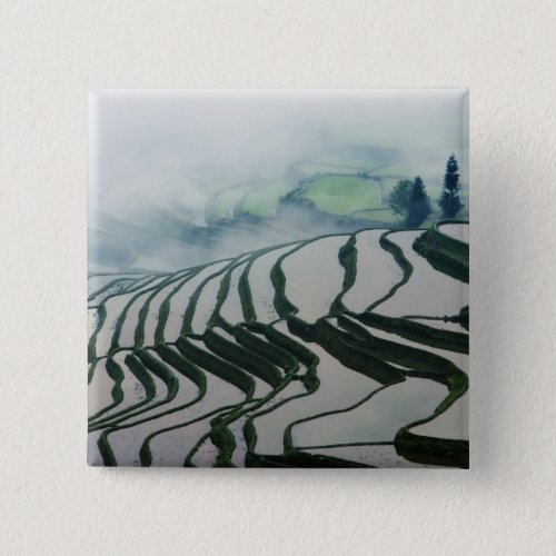 Morning Fog Above Rice Fields Pinback Button