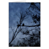 Morning Fog Bird on Branches Card (Front)