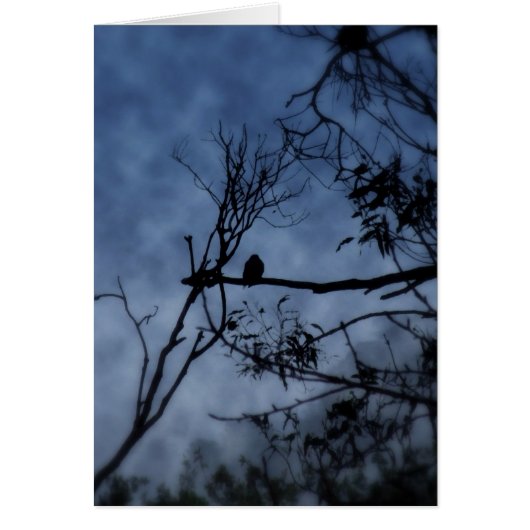 Morning Fog Bird on Branches Card (Front)