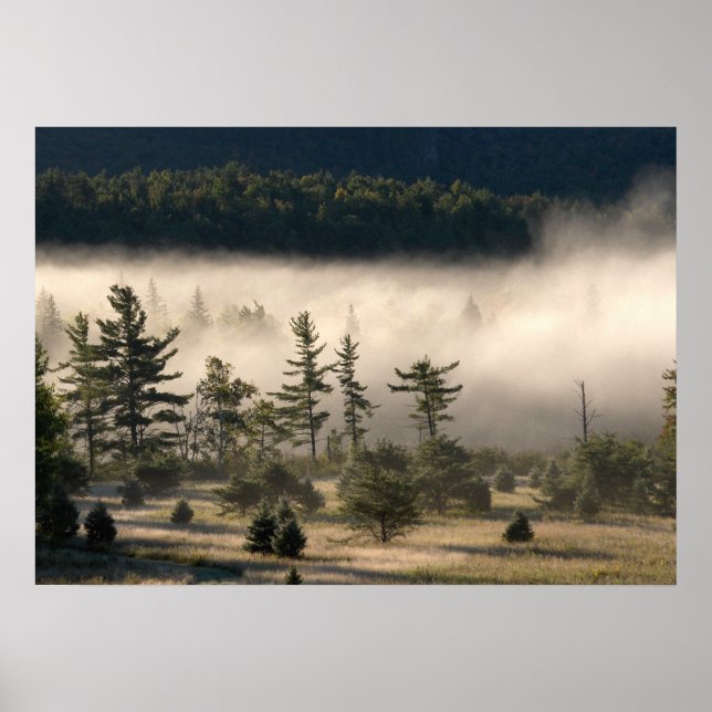 Morning Fog in the Adirondacks 4 Poster (Front)