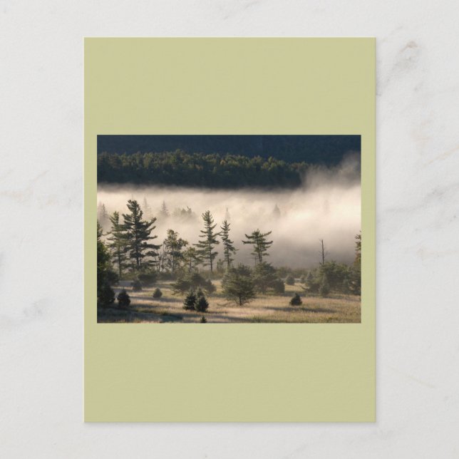 Morning Fog in the Adirondacks Postcard (Front)