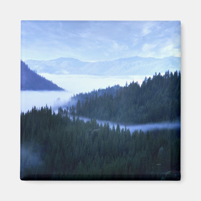 Morning Fog...... Magnet (Front)