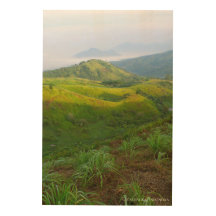 Morning Fog Mist Misty Hill Landscape Photography