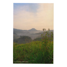 Morning Fog Mist Misty Hill Landscape Photography