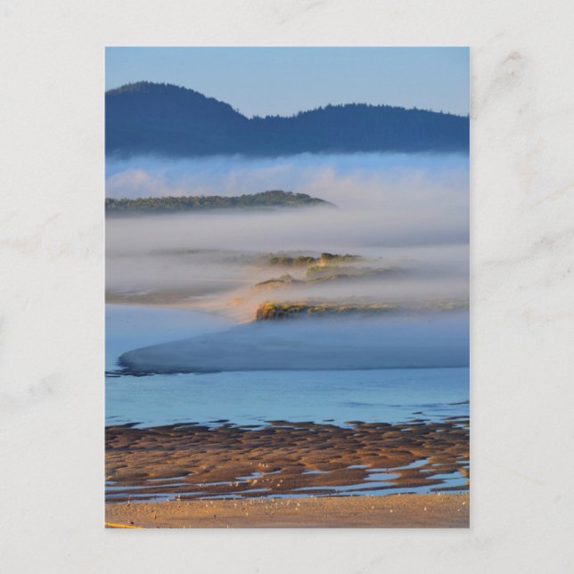Morning fog over Netarts Bay, OR Postcard (Front)