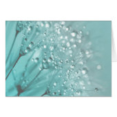 Morning Freshness (Front Horizontal)