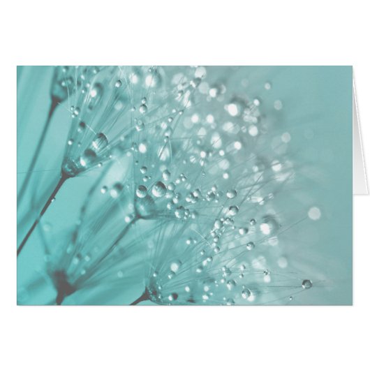 Morning Freshness Cards (Front Horizontal)