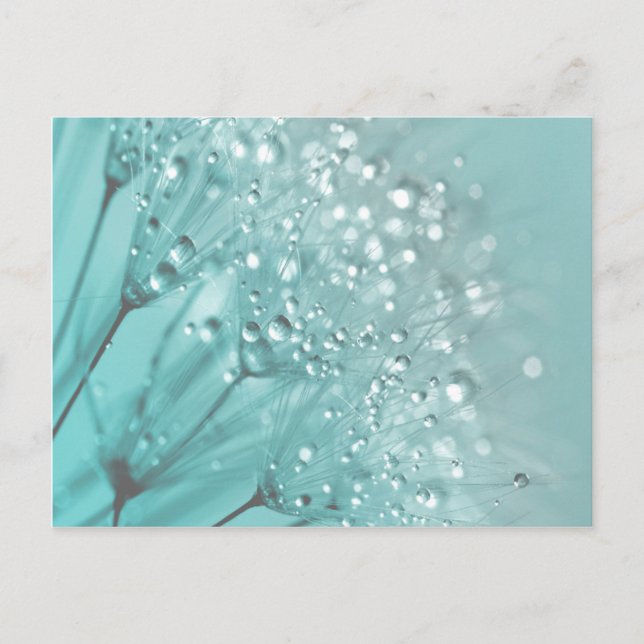 Morning Freshness Postcard (Front)