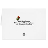 Morning Glories Black And White Flower Card (Back Horizontal)