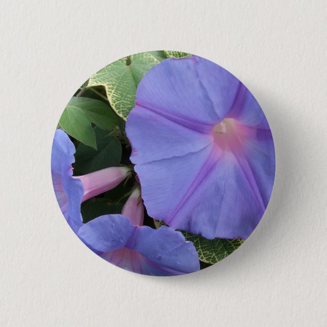 Morning Glories Button (Front)