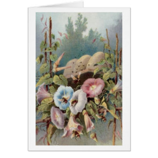 Morning Glories Cards