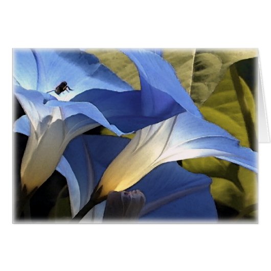 Morning Glories Cards (Front Horizontal)