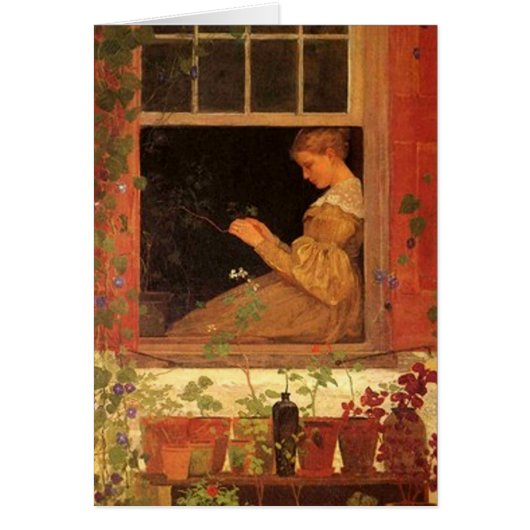 Morning Glories Cards (Front)