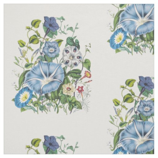 Morning Glories Fabric