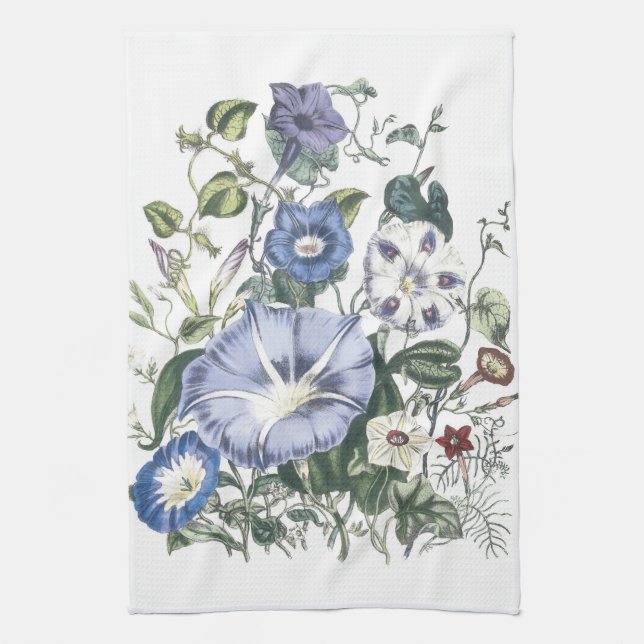 Morning Glories Floral Kitchen Towels (Vertical)