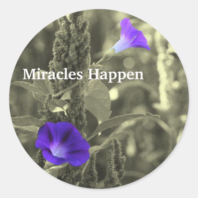 Morning Glories Miracles Happen Sticker (Front)