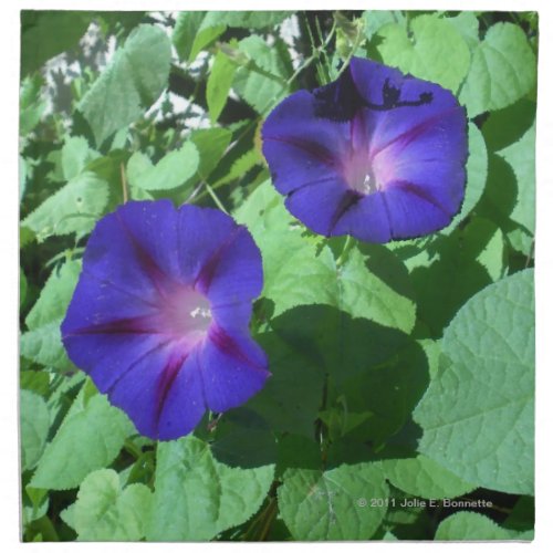 Morning Glories Napkins