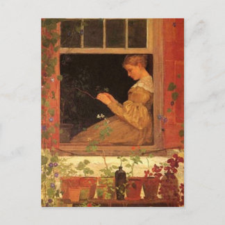 Morning Glories - Postcard